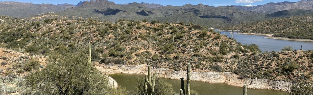 Palo Verde Trail